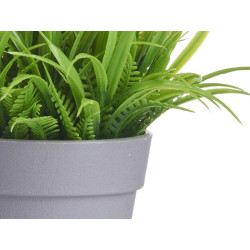POT MARGUERITE ASSORT 4