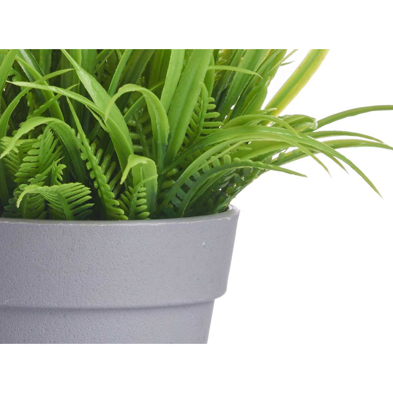 POT MARGUERITE ASSORT 4