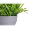 POT MARGUERITE ASSORT 4