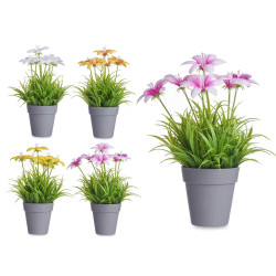 VASO FIORE APERTO ASSORT 4
