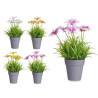 VASO C FLORES SORT 4