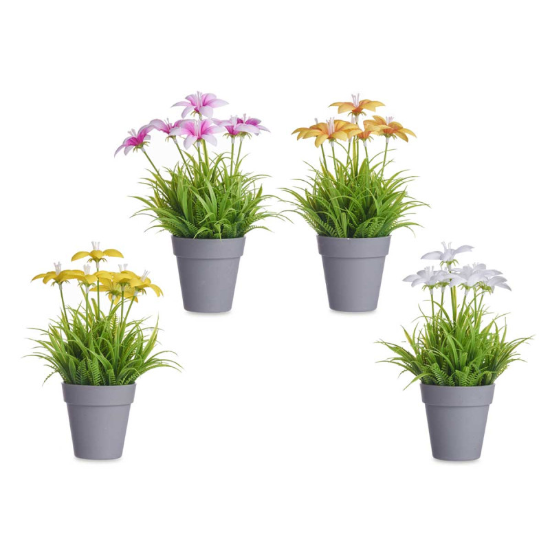 VASO FIORE APERTO ASSORT 4