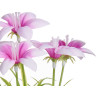 VASO C FLORES SORT 4