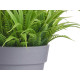 MACETA FLOR ABIERTA SURT 4
