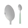 CONJ 6 COLHERES SORT 2 VERDE MENTA ROSA