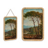 TELA ALBERO 60X40CM