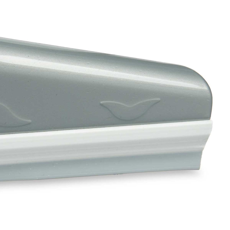 PULISCI VETRI ARGENTO