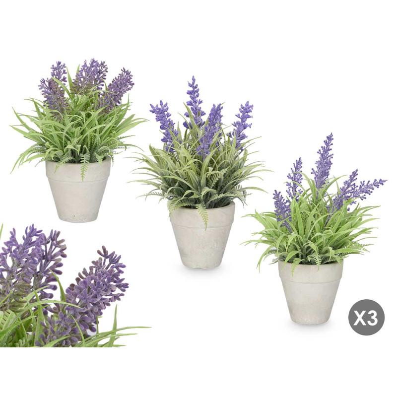 VASO CIMENTO COM LAVANDA SORT 3