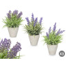VASO CIMENTO COM LAVANDA SORT 3