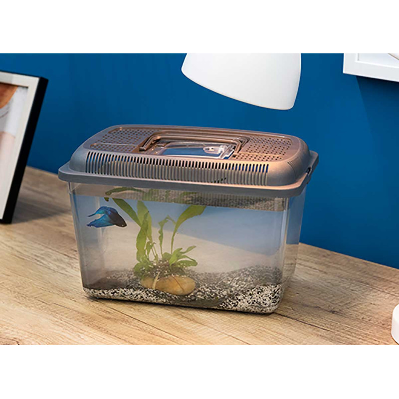 AQUARIUM GRANDE 30X20CM AVEC POIGNÉE ANTRACITE 