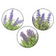 VASO CEMENTO LAVANDA ASS 3