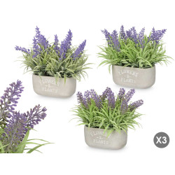 CEMENT POT LONG LAVANDER ASSORTED 3