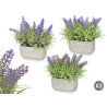 CEMENT POT LONG LAVANDER ASSORTED 3