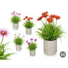 VASO CIMENTO QUADRADO FLORES SORT 4