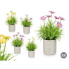 VASO CIMENTO COM MARGARIDAS SORT 4