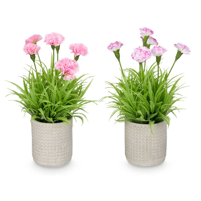 SQUARE CEMENT POT CARNATION ASSORTED 4  