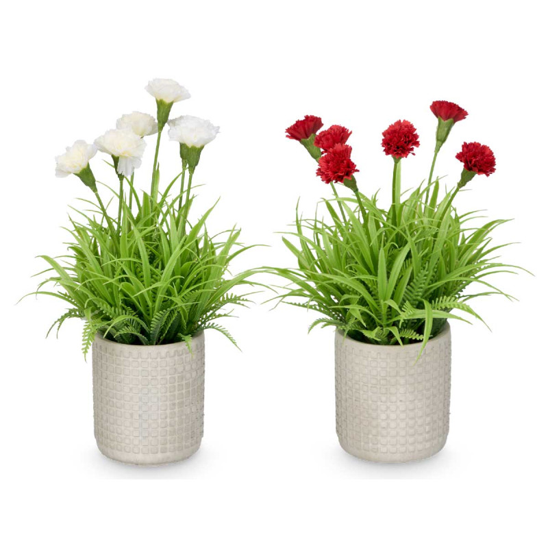 SQUARE CEMENT POT CARNATION ASSORTED 4  
