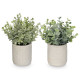 VASO QUADRADO COM FLORES SORT 4