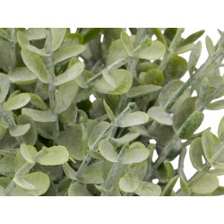 SQUARE POT GREEN LEAVES ASSORTED 4