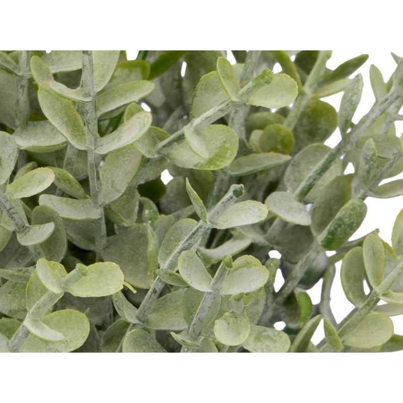 SQUARE POT GREEN LEAVES ASSORTED 4