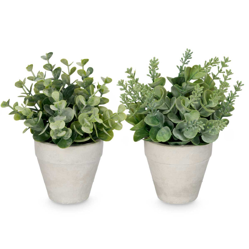 VASO COM PLANTA SORT 4