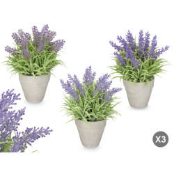 POT LAVANDER LEAVES ASSORTED 3 MEDIUM