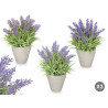 VASO COM LAVANDA MED SORT 3