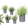 POT CYLINDRE FEUILLES VERTES ASSORT 4