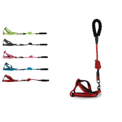 PET HARNESS WITH ROUND HANDLE SET 5 COLORS