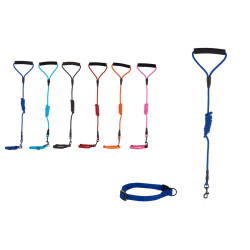 LARGE COLLAR WITH LEASH FOR PETS ASSORT 6 COLOURS