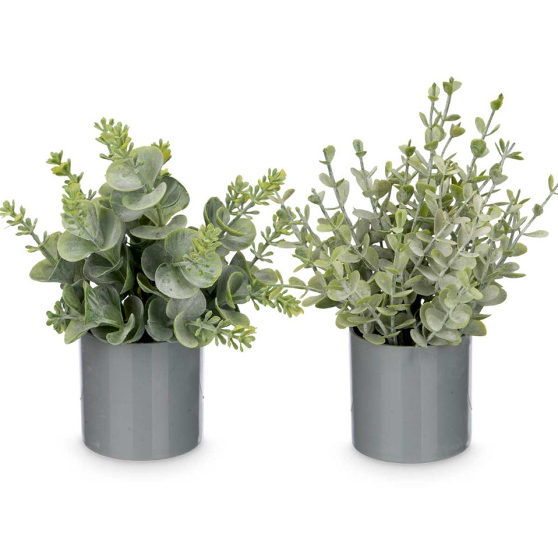 CYLINDER POT GREEN LEAVES ASSORTED 4
