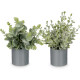 CYLINDER POT GREEN LEAVES ASSORTED 4