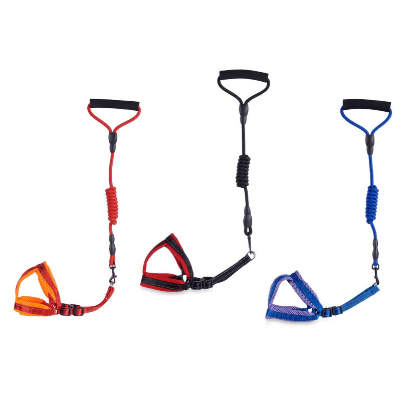 IMBRACATURA CON GUINZAGLIO PICCOLO ASS 3 COLORI