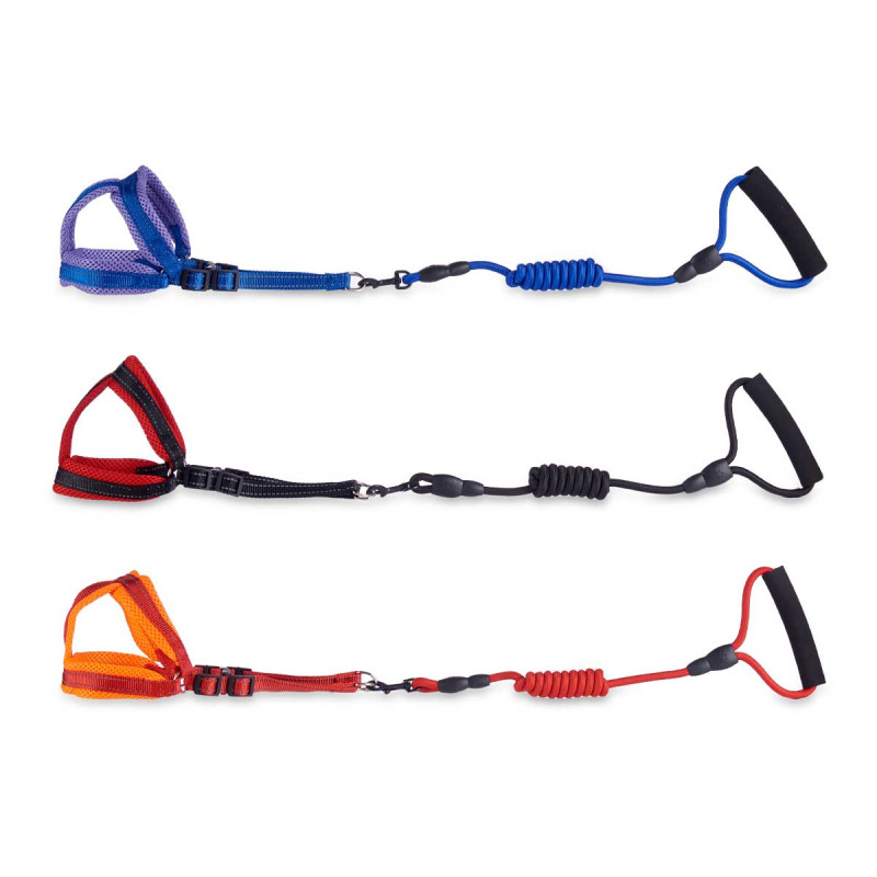 IMBRACATURA CON GUINZAGLIO PICCOLO ASS 3 COLORI