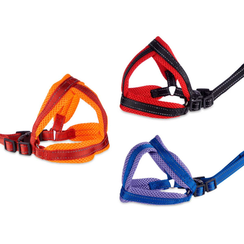 IMBRACATURA CON GUINZAGLIO PICCOLO ASS 3 COLORI