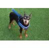 SMALL PET LEAD WITH HARNESS SET 3 COLORS