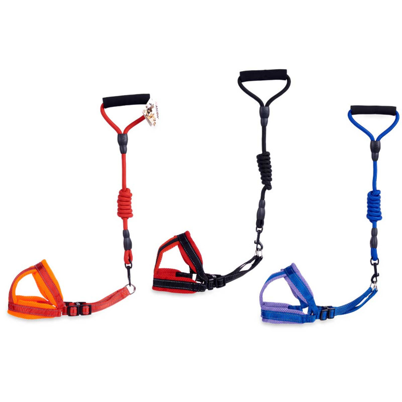 MEDIUM PET LEAD WITH HARNESS SET 3 COLORS 