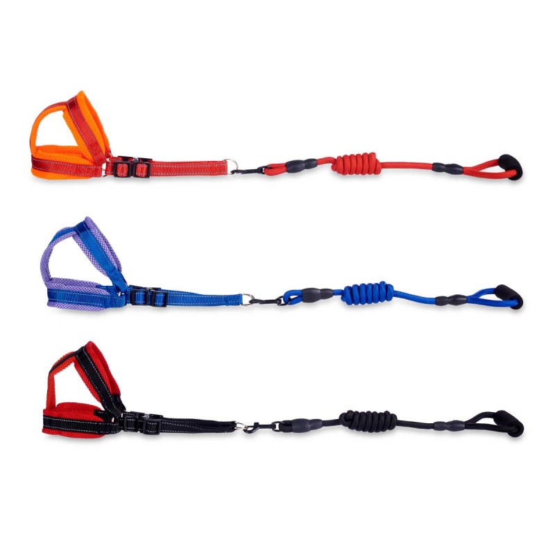 MEDIUM PET LEAD WITH HARNESS SET 3 COLORS 