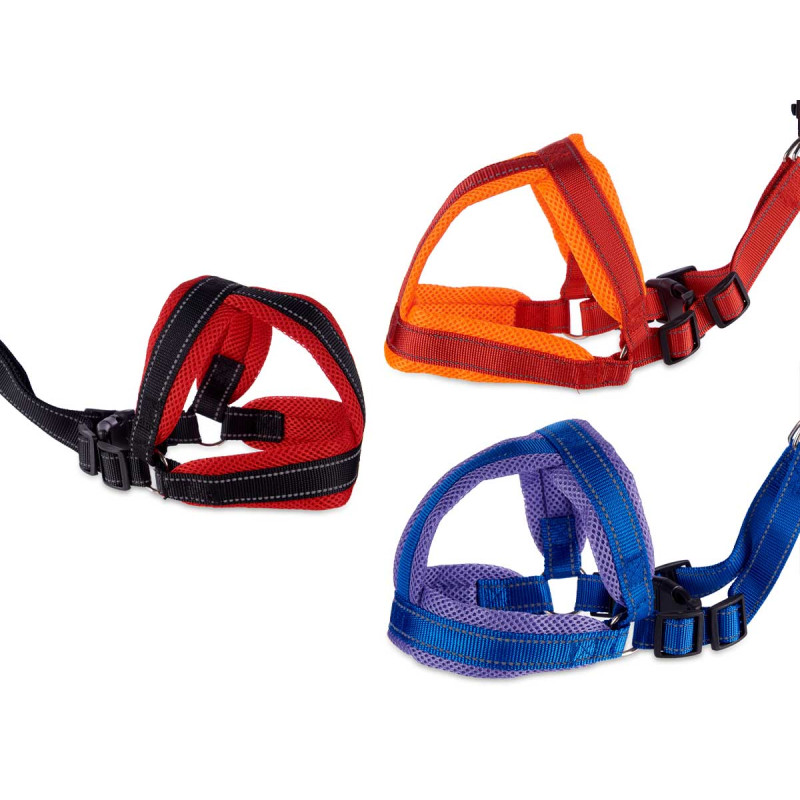 BIG PET LEAD WITH HARNESS SET 3 COLORS