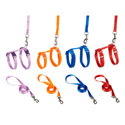 IMBRACATURA PER GATTI ASS 6 COLORI