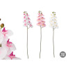 ORCHID BRANCH 105 CM ASSORTED 3 