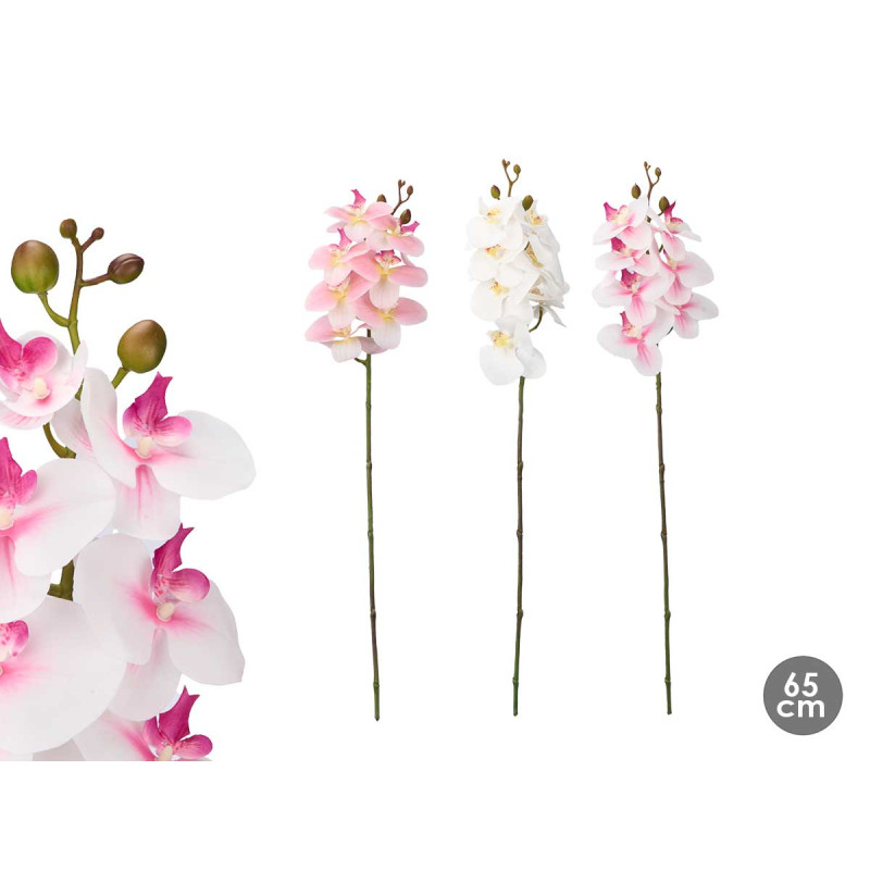 ORCHID BRANCH 65 CM ASSORTED 3 