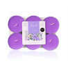 CONJ 6 VELAS TEALIGHTS MAXI 9 H LAVANDA