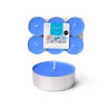 SET 6 TEA LIGHT MAXI 9 H OCEANO