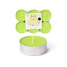 SET 6 TEA LIGHT MAXI 9 H GELSOMINO 