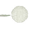 PIATTO DA DESSERT 21CM TURCHESE