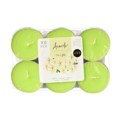CONJ 6 VELAS TEALIGHTS MAXI 9 H JASMIN