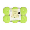 CONJ 6 VELAS TEALIGHTS MAXI 9 H JASMIN
