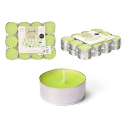SET 24 TEA LIGHT 4 H JAZMIN