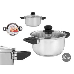 INDUCTION SAUCEPAN 20 CM GLASS LID